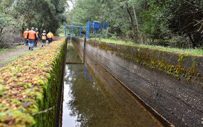 MOP Ñuble anuncia inicio del pago de patente por no uso de aguas por más de $6 mil millones