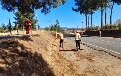 Prevención de incendios forestales: MOP concreta limpieza de faja y roce en más de mil km de rutas en Ñuble