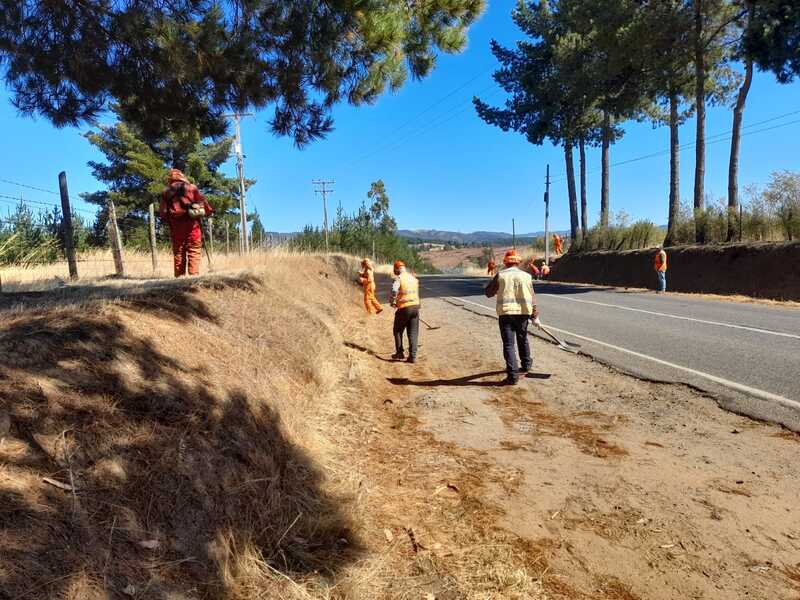 Prevención de incendios forestales: MOP concreta limpieza de faja y roce en más de mil km de rutas en Ñuble